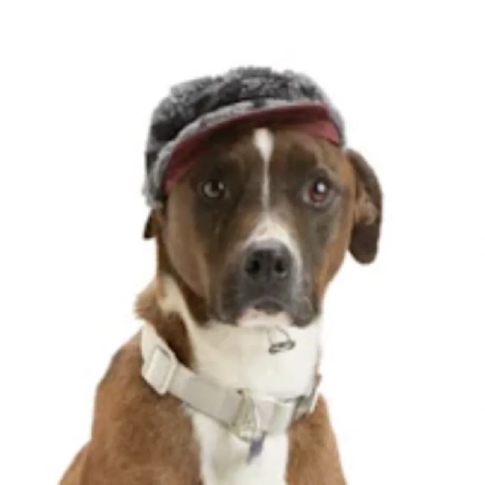NWT Sherpa Reddy Hat Cap Dog XS/S
